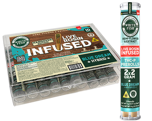 WHITE FISH 2G LIVE ROSIN INFUSED THC-P PRE ROLL | BLUE DREAM (H)