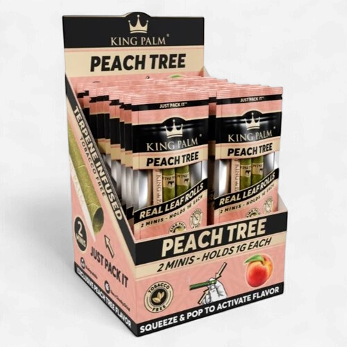 KING PALM PEACG TREE 2 MINIS